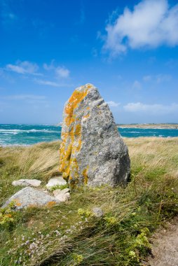 Old rock against the wild ocean clipart