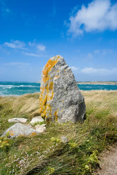 Vieux rocher contre l'océan sauvage — Photo