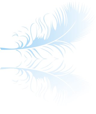 Beautiful feather clipart