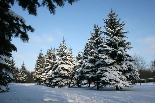 Landskape de invierno — Foto de Stock
