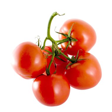 Tomates clipart