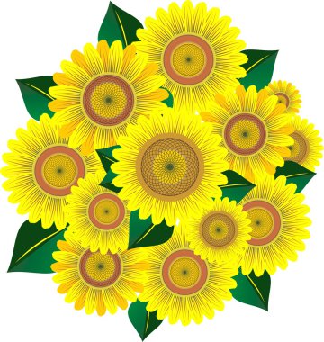 Sunflower clipart