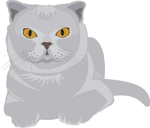 Un gatto grigio — Vettoriale Stock