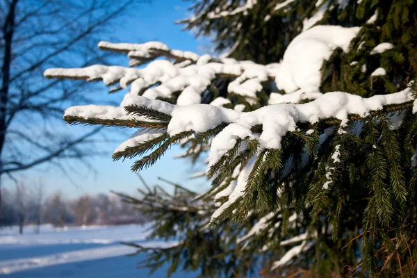 Dia de inverno — Fotografia de Stock