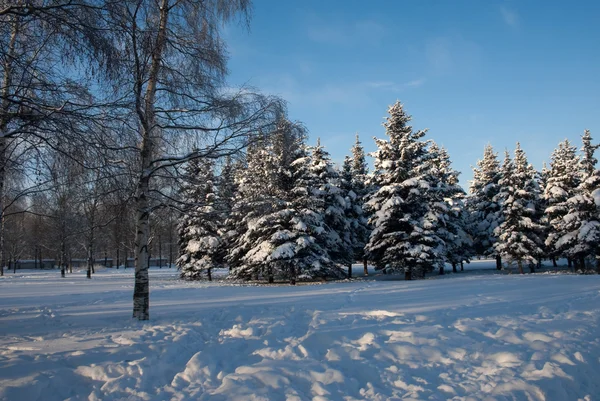 Vinterdag — Stockfoto