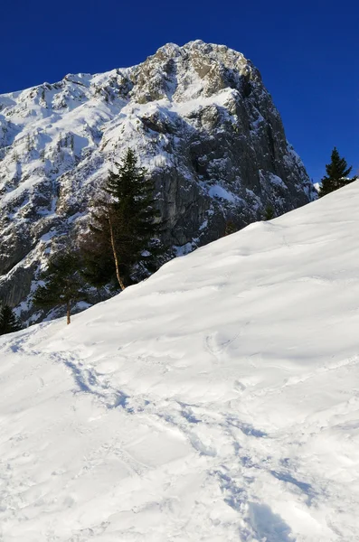 Met sneeuw bedekte berg — Stockfoto
