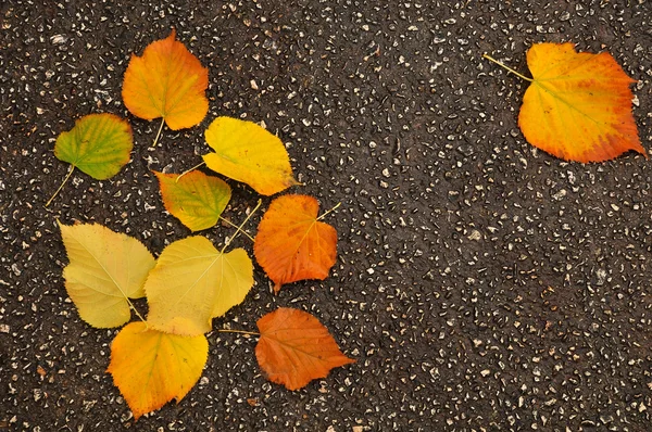 Herbstlaub auf Asphalt — Stockfoto