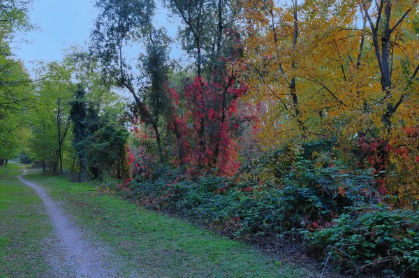Fußweg in Herbstfarben — Stockfoto