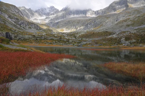 HDR mountain with lake and red reeds — Stock Photo, Image