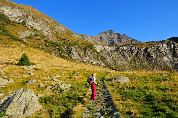 Lady trekker looking mountain landscape — Stock Photo, Image