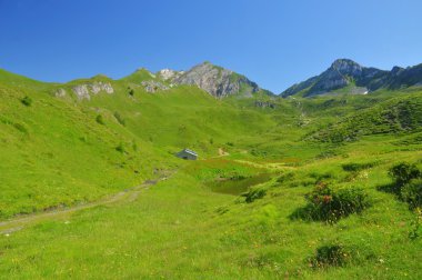 Mountain alp with stable building clipart