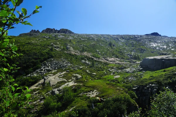 Гірський пейзаж з вівцями — стокове фото