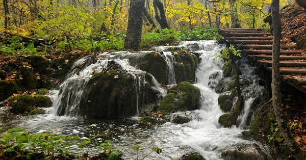 Mały wodospad w Las liściasty — Zdjęcie stockowe