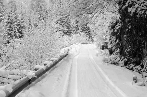 BW snö täckta väg med bil spår — Stockfoto