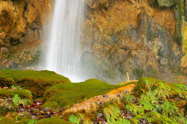 普利特维切的小瀑布 — 图库照片