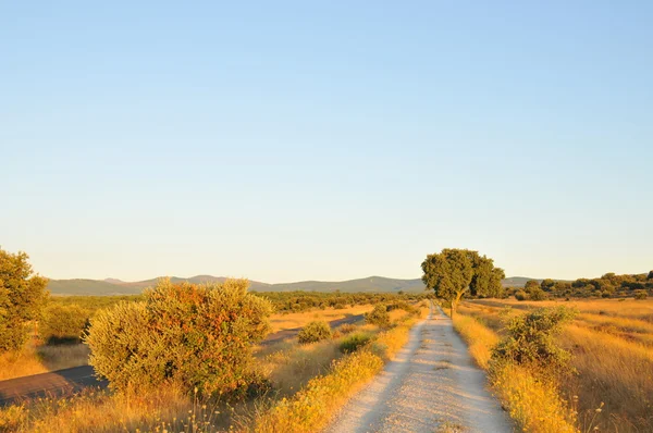 Roads in the plains — Stock Photo, Image