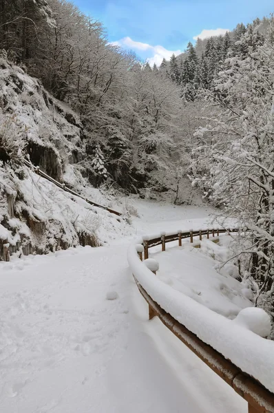 Estrada da montanha coberta de neve — Fotografia de Stock