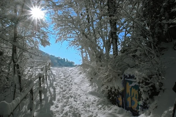 Voetpad in de sneeuw — Stockfoto
