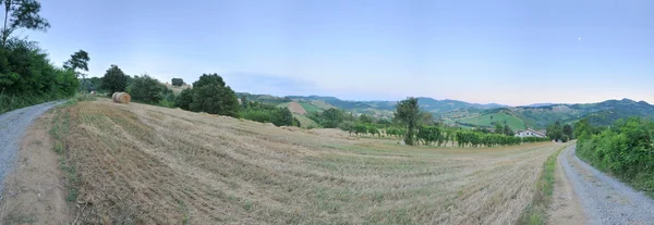 Country scene in Appennini