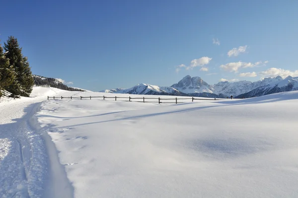 Солнечный пейзаж в снегу — стоковое фото