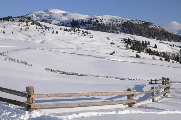 Soliga landskap i snön — Stockfoto