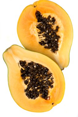 Papaya