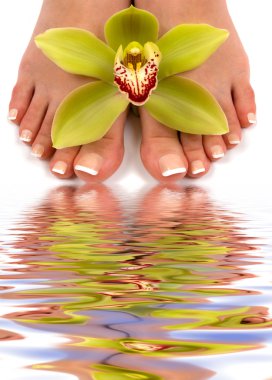 Pedicure Spa clipart