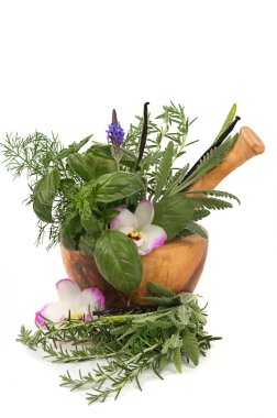 Herbal Therapy clipart