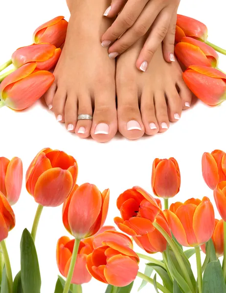 Füße und Tulpen — Stockfoto