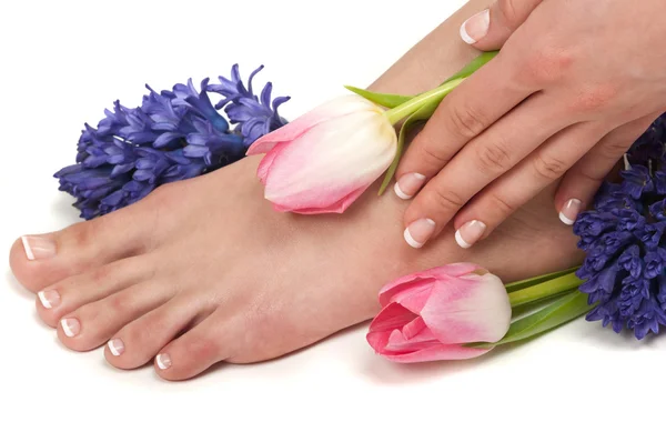 Pedicure Spa Royalty Free Stock Images