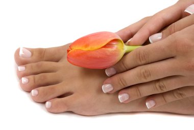 Pedicure and Manicure clipart