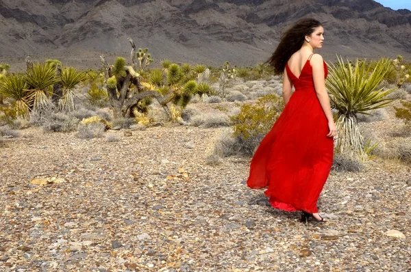 Vestido de noite — Fotografia de Stock