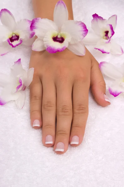 Spa with Orchids — Stock Photo, Image