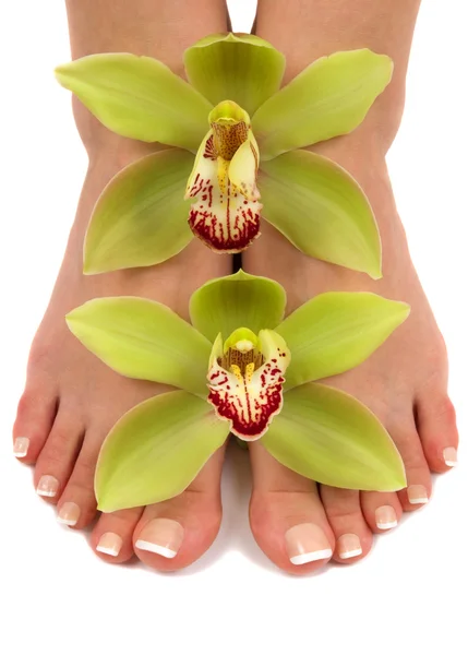 Fötter och orkidéer — Stockfoto