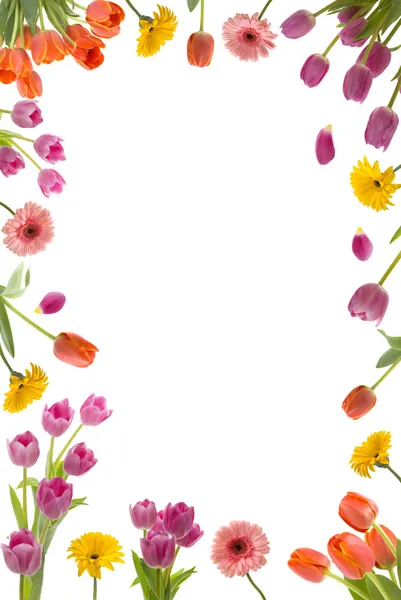 Blomsterram — Stockfoto