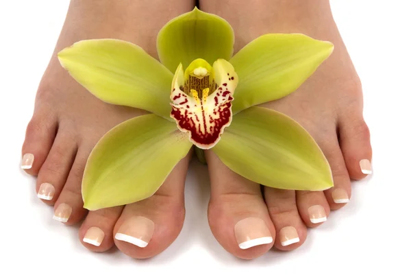 Ayak ve orkide — Stok fotoğraf