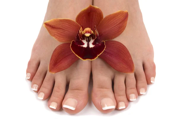 Ноги и орхидея — стоковое фото