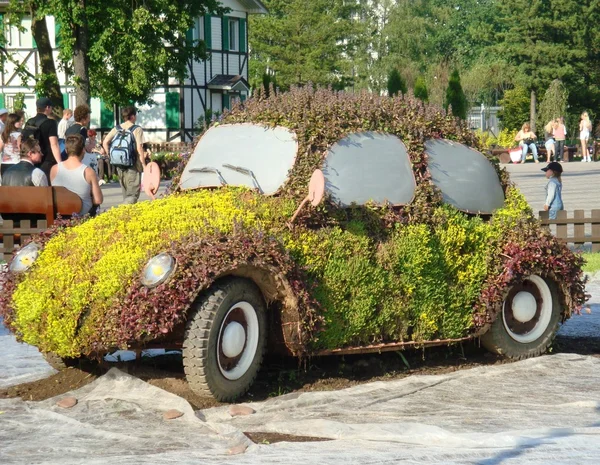 Květinové auto — Stock fotografie
