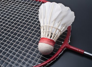 Badminton