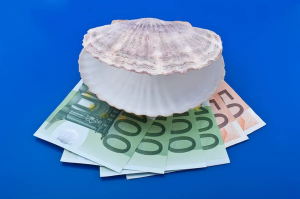 Muszla ocean i euro — Zdjęcie stockowe