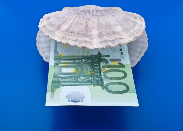 海洋贝壳和欧元 — 图库照片
