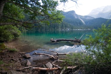 Lake tovel brenta dolomites içinde