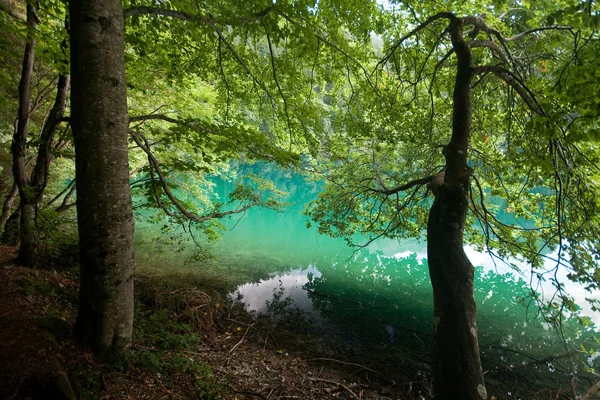 Brenta dolomites에 호수 tovel — 스톡 사진