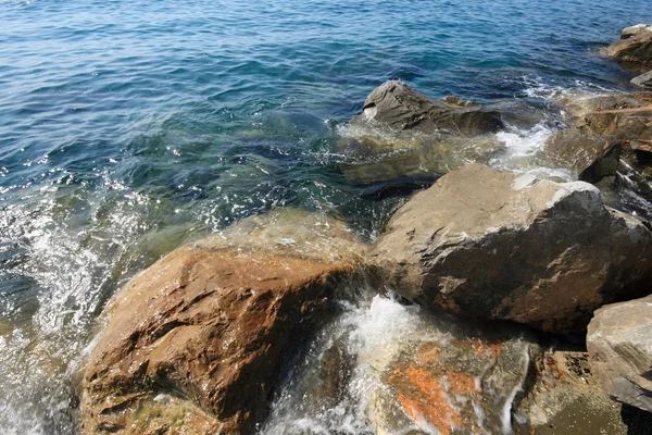 Sea cliff — Stockfoto