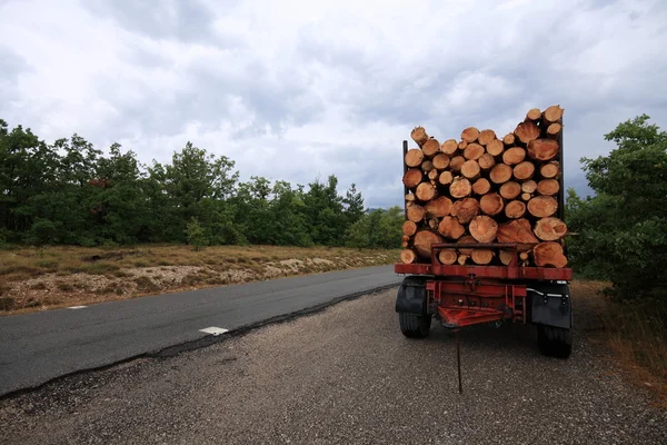 Φορτηγό ξυλείας — Φωτογραφία Αρχείου