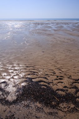 Bibione Beach