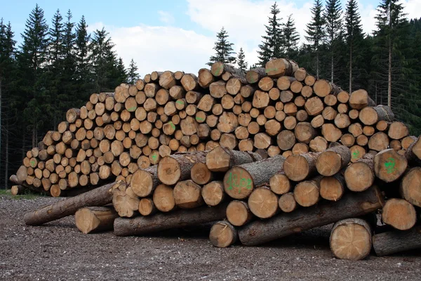 Dağ barn için yakacak odun — Stok fotoğraf