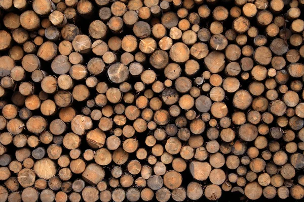 Firewood for the mountain barn — Stock Photo, Image