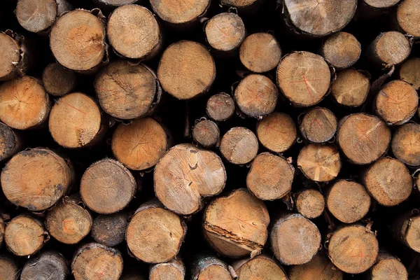 Firewood for the mountain barn — Stockfoto