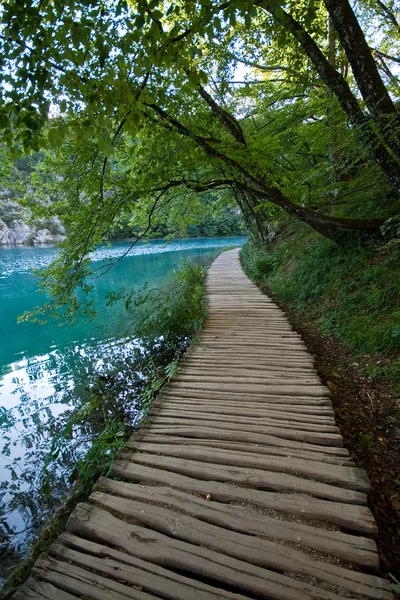 Yaya köprüsü - plitvice gölleri — Stok fotoğraf